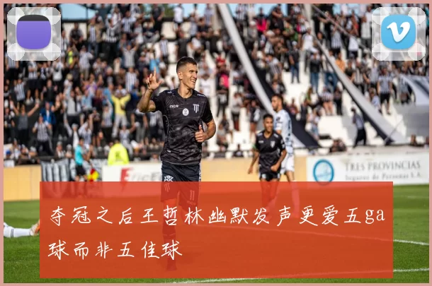 夺冠之后王哲林幽默发声更爱五ga球而非五佳球